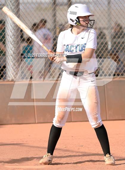 Thumbnail 1 in Cactus vs. Ironwood photogallery.