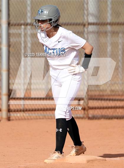 Thumbnail 1 in Cactus vs. Ironwood photogallery.