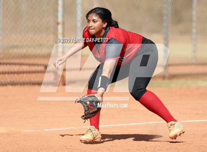 Thumbnail 2 in Cactus vs. Ironwood photogallery.