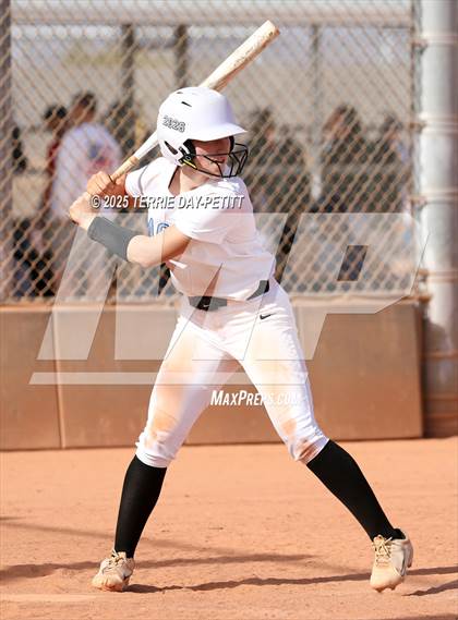Thumbnail 1 in Cactus vs. Ironwood photogallery.