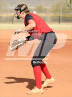 Photo from the gallery "Cactus vs. Ironwood"