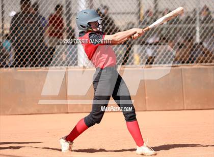 Thumbnail 2 in Cactus vs. Ironwood photogallery.