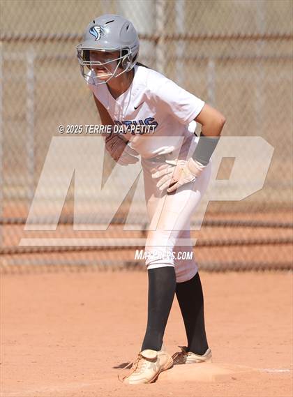 Thumbnail 3 in Cactus vs. Ironwood photogallery.