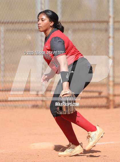 Thumbnail 3 in Cactus vs. Ironwood photogallery.