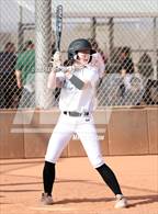 Photo from the gallery "Cactus vs. Ironwood"