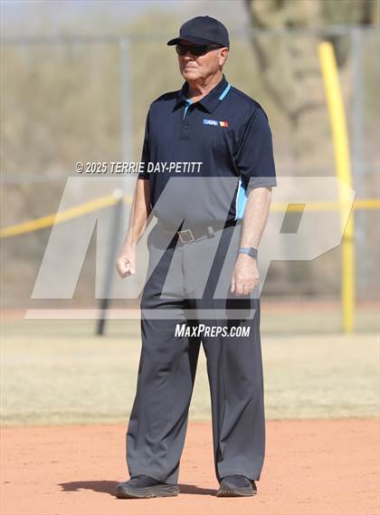 Thumbnail 1 in Cactus vs. Ironwood photogallery.