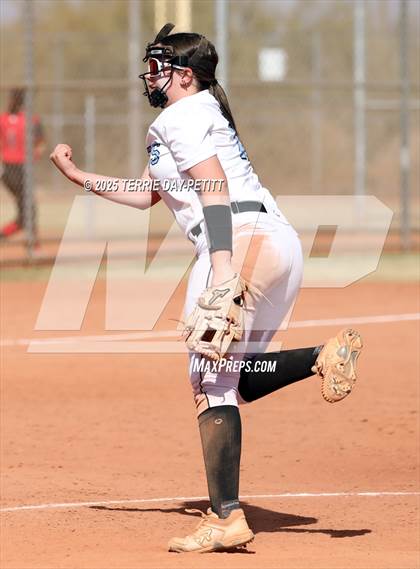 Thumbnail 3 in Cactus vs. Ironwood photogallery.