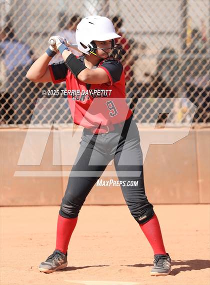 Thumbnail 3 in Cactus vs. Ironwood photogallery.