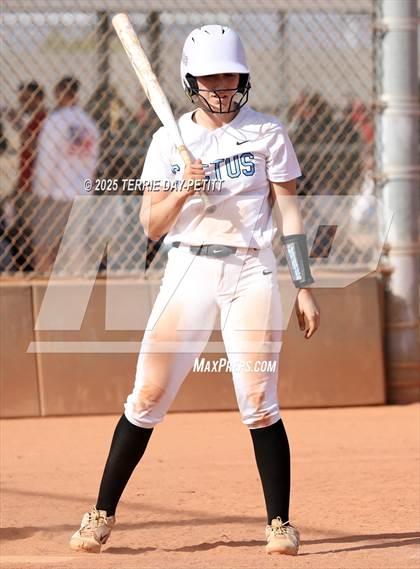 Thumbnail 2 in Cactus vs. Ironwood photogallery.
