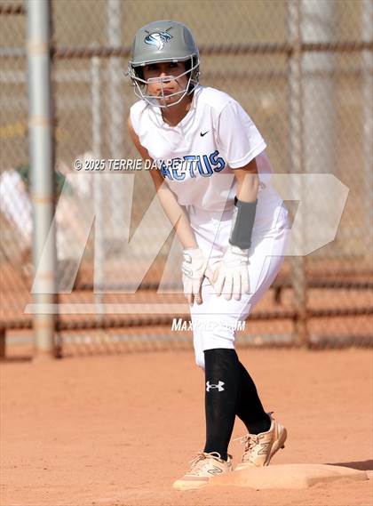 Thumbnail 1 in Cactus vs. Ironwood photogallery.