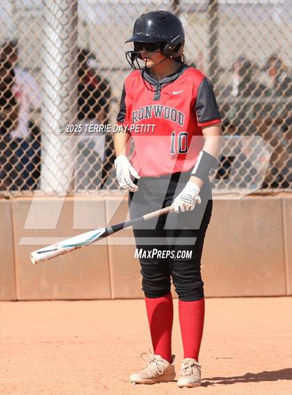 Thumbnail 1 in Cactus vs. Ironwood photogallery.