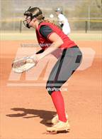 Photo from the gallery "Cactus vs. Ironwood"