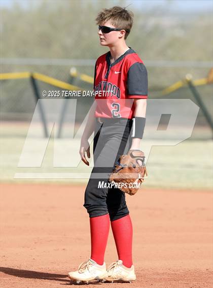 Thumbnail 2 in Cactus vs. Ironwood photogallery.