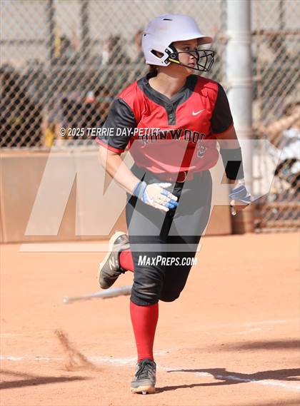Thumbnail 1 in Cactus vs. Ironwood photogallery.