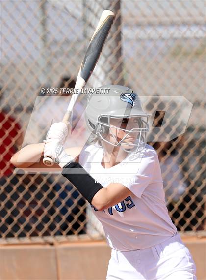 Thumbnail 3 in Cactus vs. Ironwood photogallery.