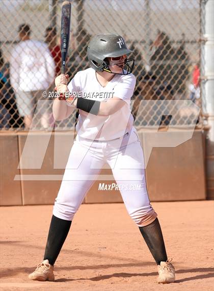 Thumbnail 1 in Cactus vs. Ironwood photogallery.