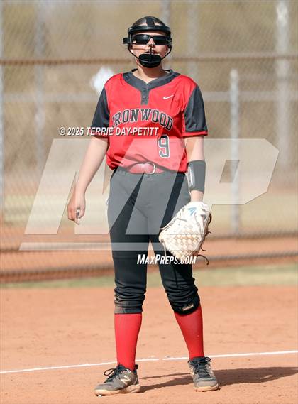 Thumbnail 1 in Cactus vs. Ironwood photogallery.
