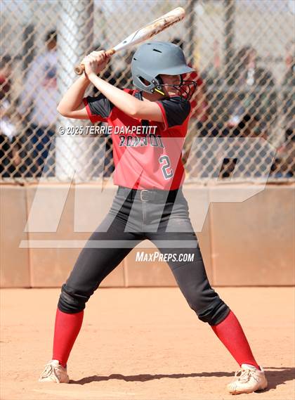 Thumbnail 1 in Cactus vs. Ironwood photogallery.