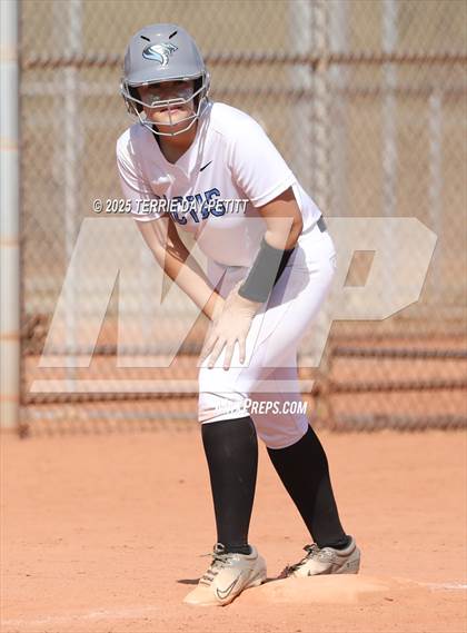 Thumbnail 1 in Cactus vs. Ironwood photogallery.