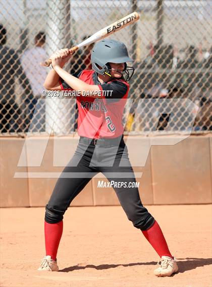 Thumbnail 2 in Cactus vs. Ironwood photogallery.