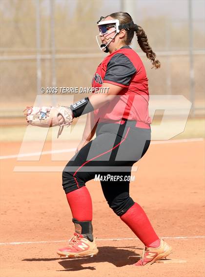 Thumbnail 2 in Cactus vs. Ironwood photogallery.