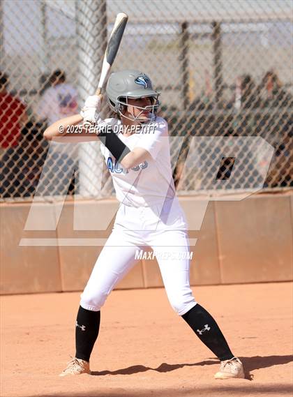 Thumbnail 2 in Cactus vs. Ironwood photogallery.