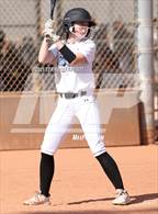 Photo from the gallery "Cactus vs. Ironwood"