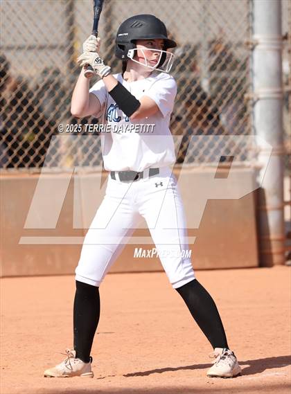 Thumbnail 1 in Cactus vs. Ironwood photogallery.