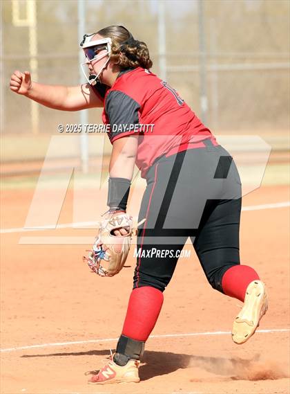 Thumbnail 1 in Cactus vs. Ironwood photogallery.