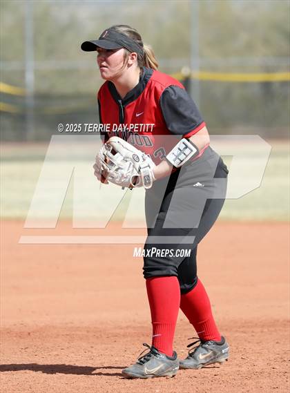 Thumbnail 3 in Cactus vs. Ironwood photogallery.