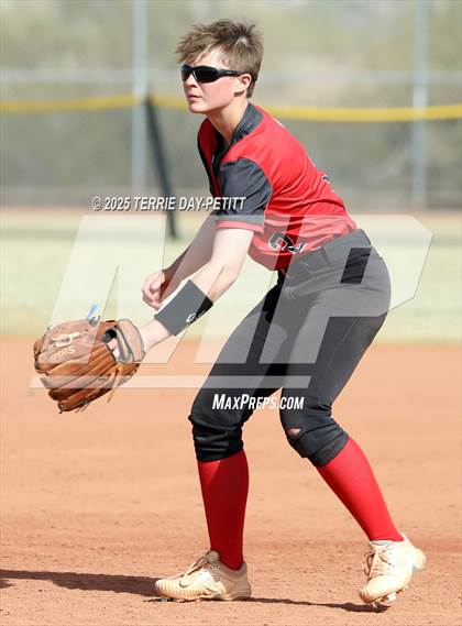 Thumbnail 2 in Cactus vs. Ironwood photogallery.