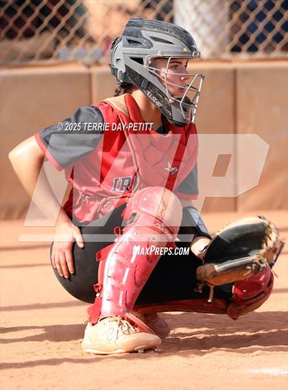 Thumbnail 1 in Cactus vs. Ironwood photogallery.