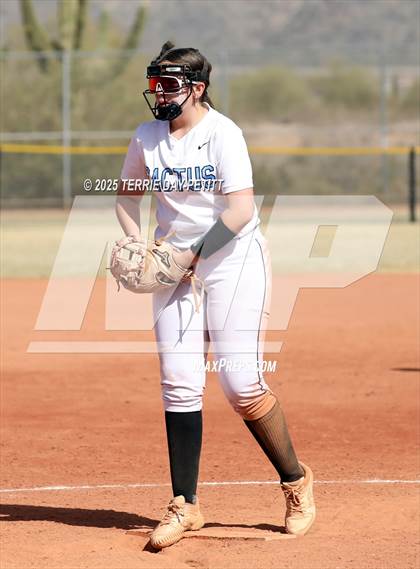 Thumbnail 3 in Cactus vs. Ironwood photogallery.