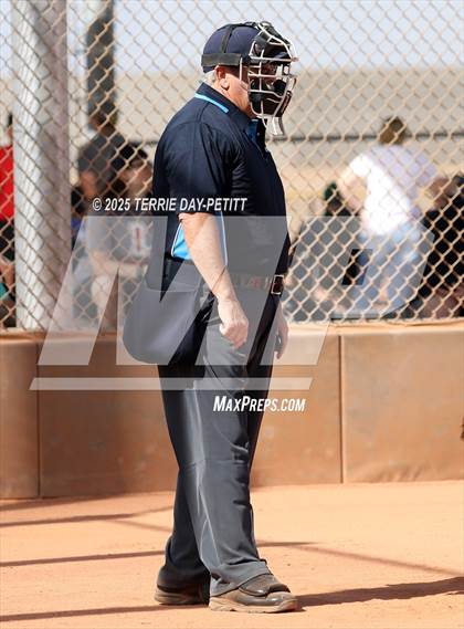 Thumbnail 2 in Cactus vs. Ironwood photogallery.
