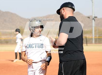Thumbnail 1 in Cactus vs. Ironwood photogallery.