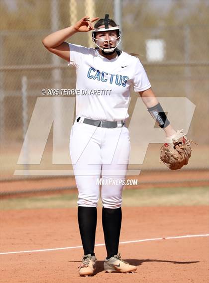 Thumbnail 2 in Cactus vs. Ironwood photogallery.