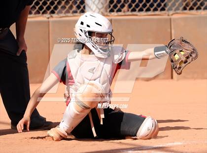 Thumbnail 2 in Cactus vs. Ironwood photogallery.