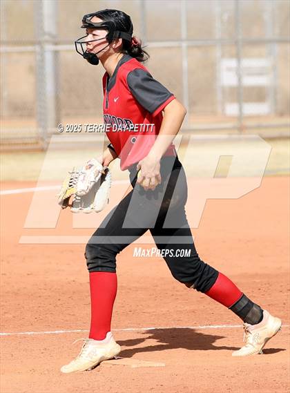 Thumbnail 3 in Cactus vs. Ironwood photogallery.