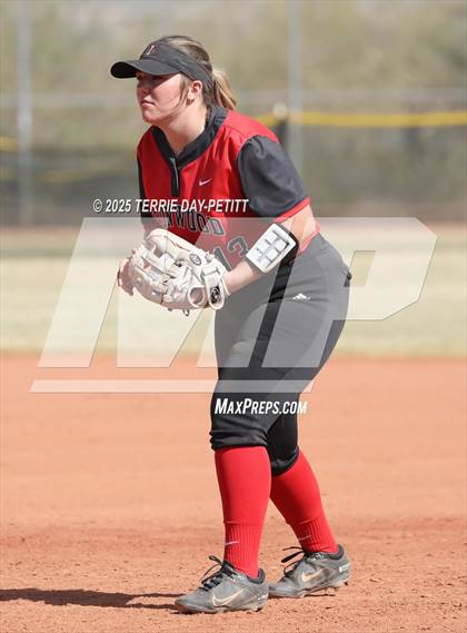Thumbnail 1 in Cactus vs. Ironwood photogallery.