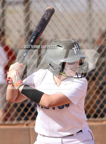 Thumbnail 3 in Cactus vs. Ironwood photogallery.