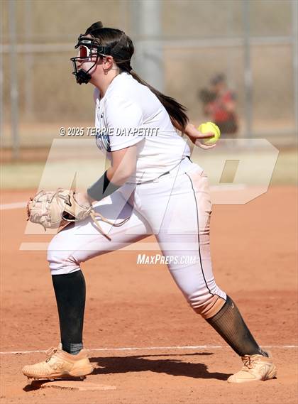 Thumbnail 1 in Cactus vs. Ironwood photogallery.