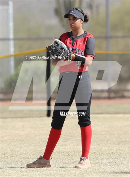 Thumbnail 1 in Cactus vs. Ironwood photogallery.