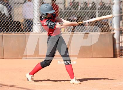 Thumbnail 3 in Cactus vs. Ironwood photogallery.