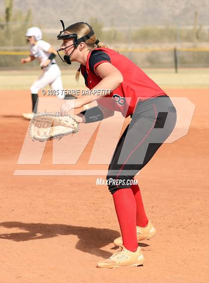 Thumbnail 3 in Cactus vs. Ironwood photogallery.