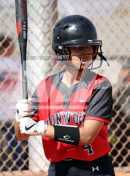Thumbnail 1 in Cactus vs. Ironwood photogallery.