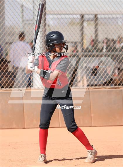 Thumbnail 3 in Cactus vs. Ironwood photogallery.