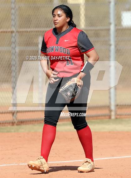 Thumbnail 3 in Cactus vs. Ironwood photogallery.