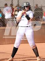 Photo from the gallery "Cactus vs. Ironwood"