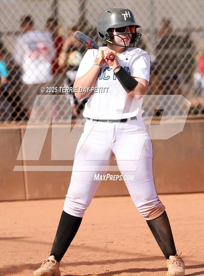 Thumbnail 2 in Cactus vs. Ironwood photogallery.
