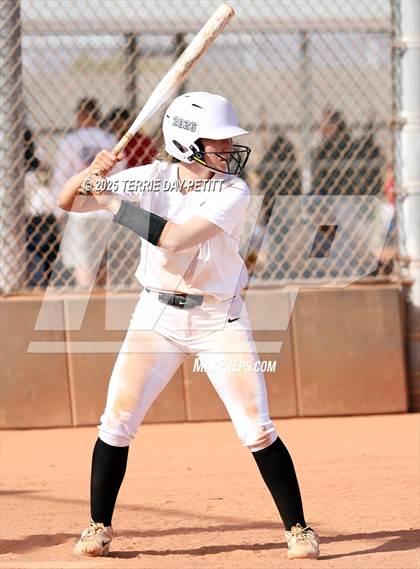 Thumbnail 2 in Cactus vs. Ironwood photogallery.